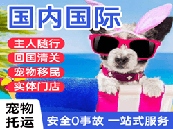 普陀山机场货运国际宠物托运 【国